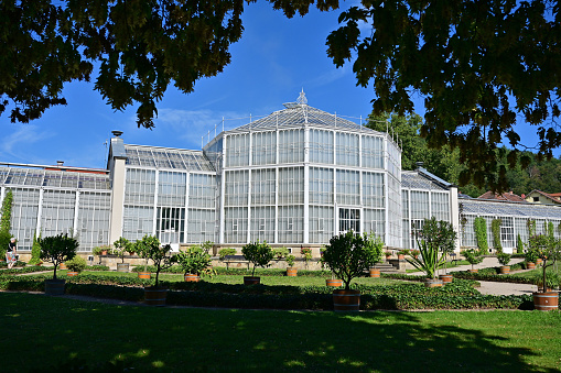 The delicate glass and wrought iron Palacio Cristal surrounded by the cool shade of the trees in the tranquil Parque del Retiro in the heart of Madrid, Spain. ProPhoto RGB color profile for maximum color gamut.