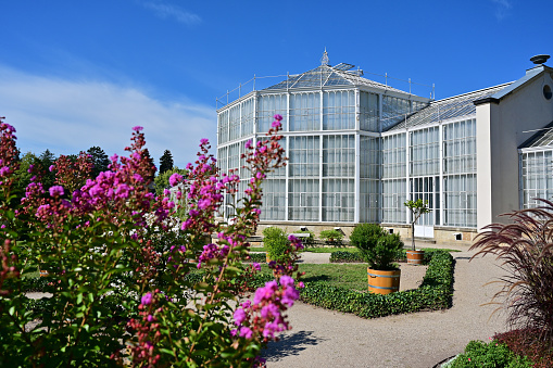 Palm house in Pillnitz Castle and Park in Dresden, Free State of Saxony