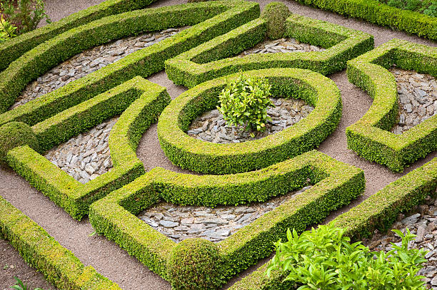 Topiary knot garden Traditional English box hedge knot garden with pebbles. knot garden stock pictures, royalty-free photos & images