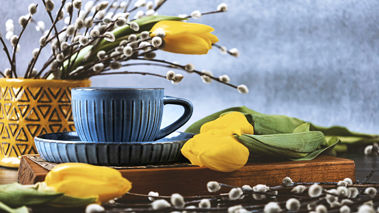 Blue cup of coffee, yellow tulips and willow branches. Still life with spring flowers. Side view.