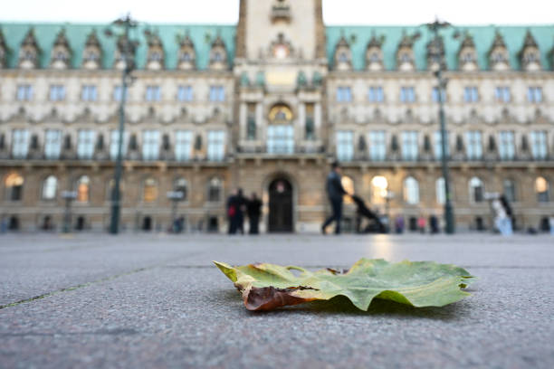 The Hamburg Town Hall, the seat of the Hamburg Citizenship and the Senate of the Free and Hanseatic City of Hamburg. The architecturally magnificent building on the Kleine Alster was built between 1886 and 1897 in the historicist style of the North German Neo-Renaissance