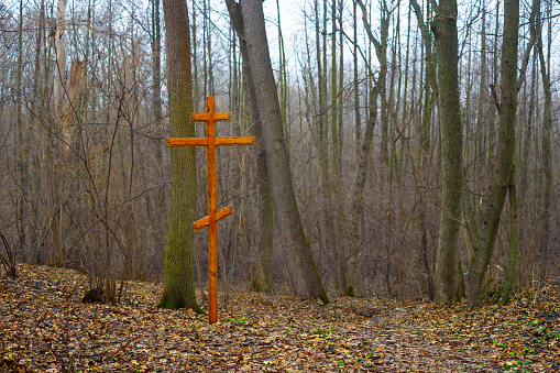 christian cross stay on forest glade covered by leaves