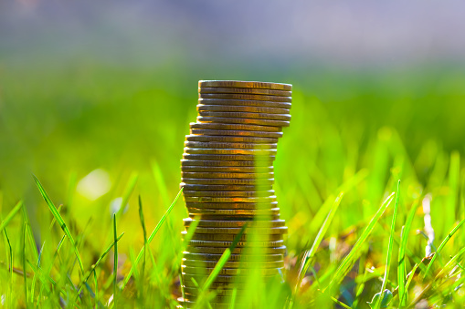 heap of coins lie among green grass