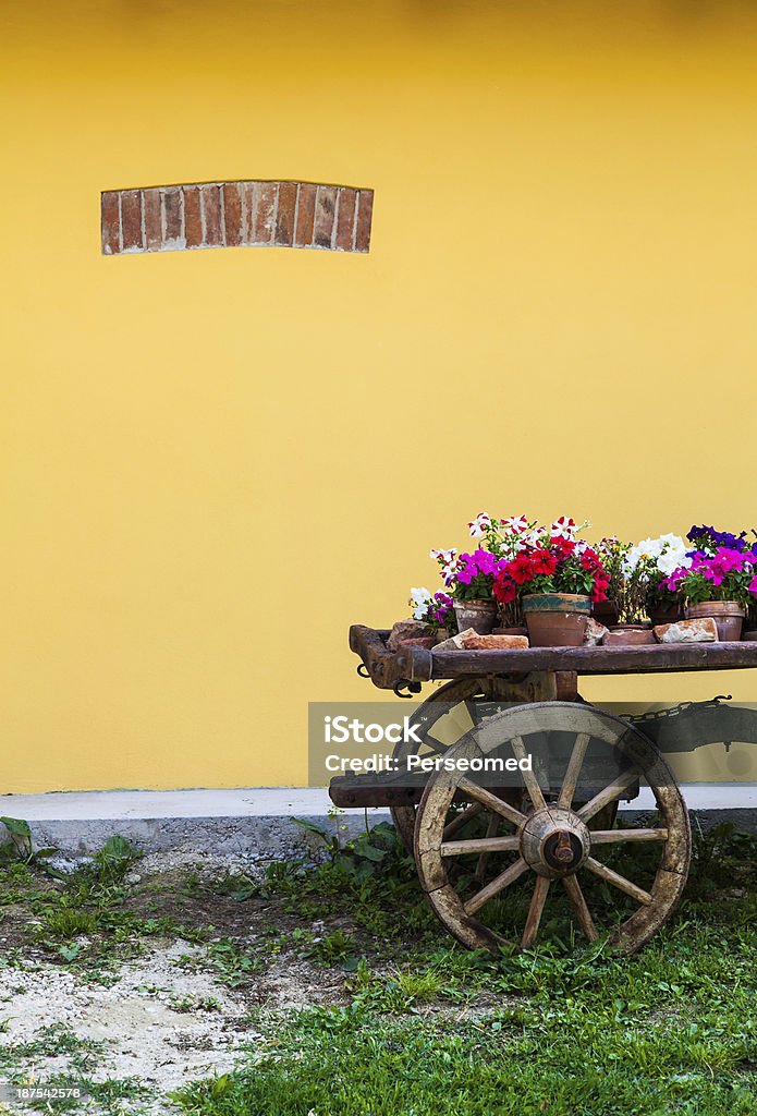 Tuscany flowers Very elegant way to show flowers in Tuscany - Italy Agriculture Stock Photo