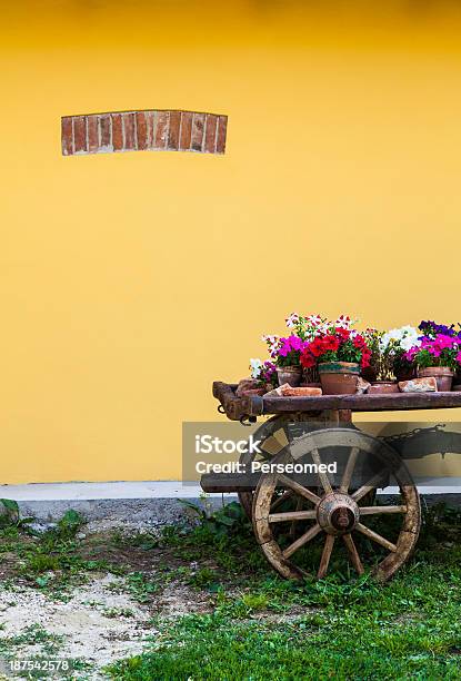 Tuscany Flowers Stock Photo - Download Image Now - Agriculture, Bouquet, Day