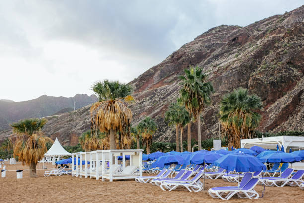 istock beach desolate by bad weather during winter on beach of Tenerife 1875458005