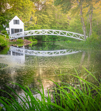 A beautiful small pond and a patio with a sitting area. 