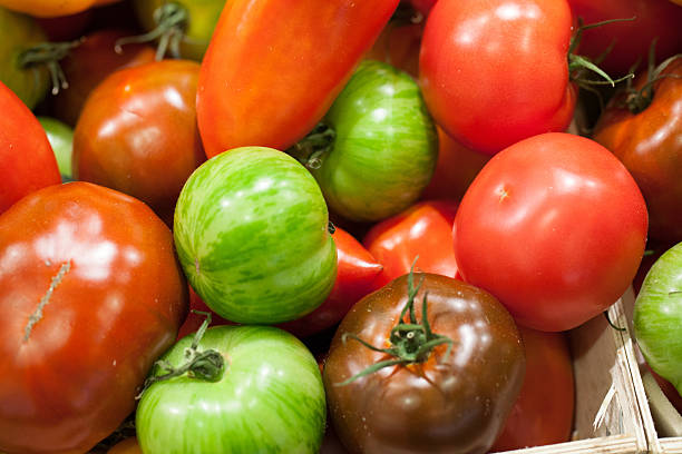 グリーンと赤の種類のトマト - heirloom tomato zebra tomato tomato organic ストックフォトと画像