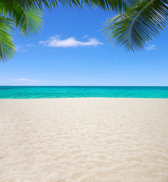 beach and tropical sea
