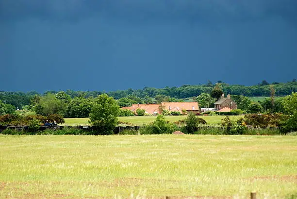 Back-lit storm clouds gathering in East Lothian Summer sky give a great contrast with the black sky and golden green crops in the foreground.