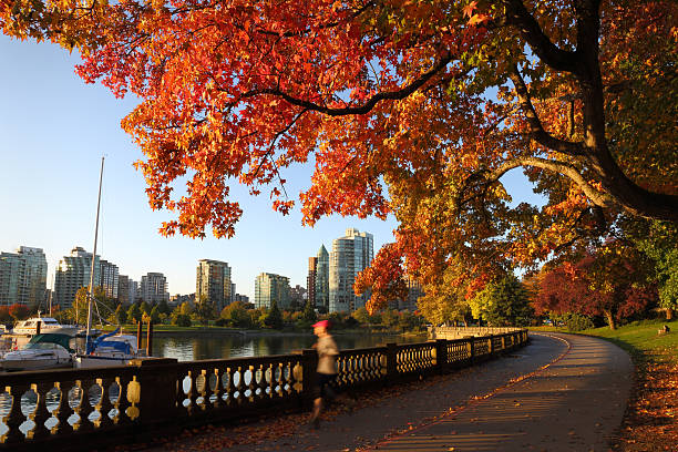 istock Autumn Run, Stanley Park Seawall, Vancouver 187551738
