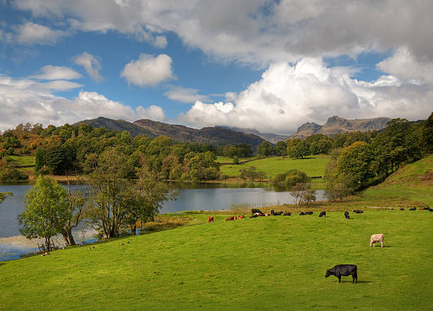 istock Loughrigg Tarn, Cumbria 187551830