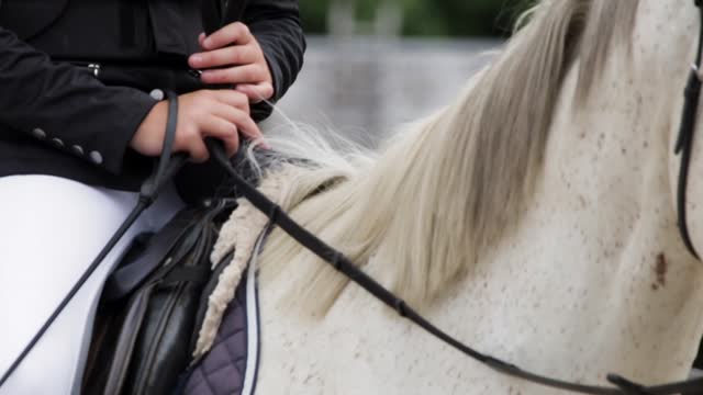 Horsewoman Sits on a White Horse and Strokes it