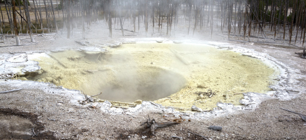 An active geyser steams and deposits sulphur and arsenic around it, killing off the surrounding vegetation. Yellowstone.