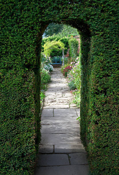 istock Yew arch, English garden 187558332