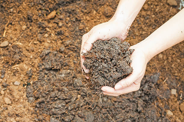 istock Soil- handful,female hands 187558359
