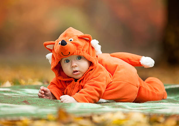 Cute baby boy dressed in fox costume