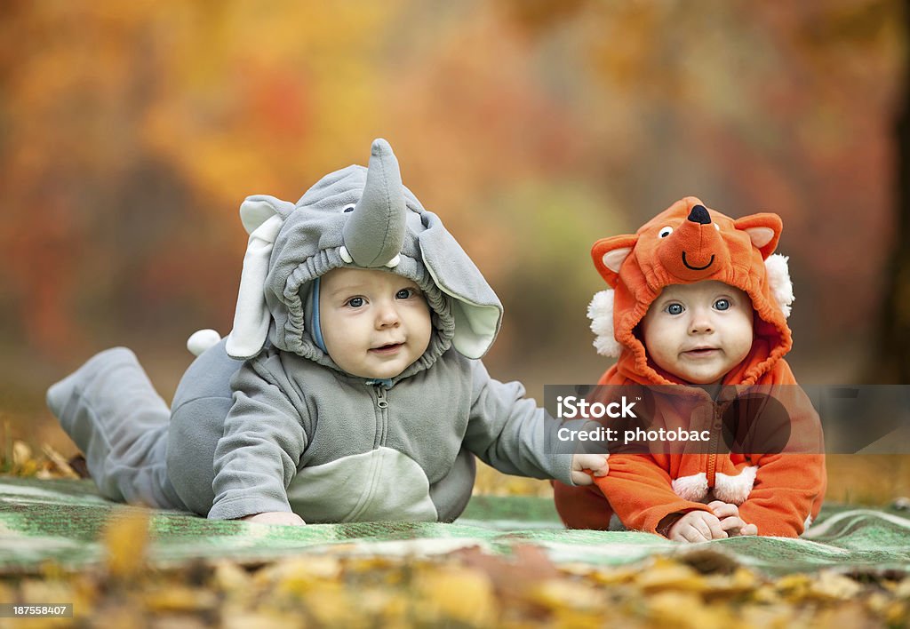 Two baby boys dressed in animal costumes Two baby boys dressed in animal costumes in autumn park, focus on baby in elephant costume Costume Stock Photo