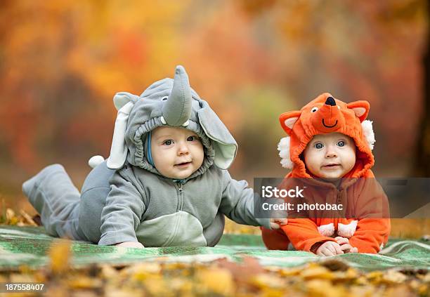 Two Baby Boys Dressed In Animal Costumes Stock Photo - Download Image Now - Costume, Child, Baby - Human Age