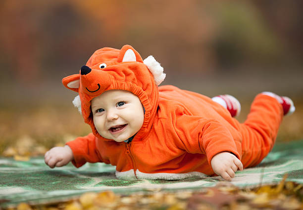 istock Baby boy dressed in fox costume 187558525