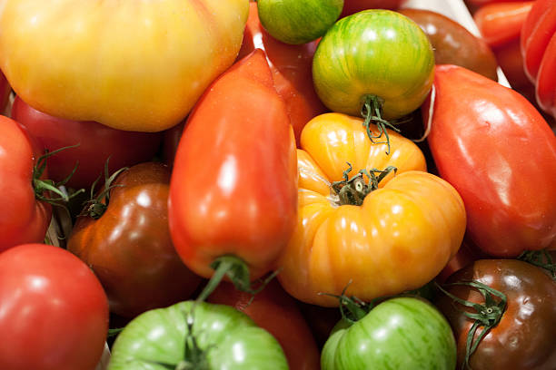 黄色のエアルームトマトを表示 - heirloom tomato zebra tomato tomato organic ストックフォトと画像