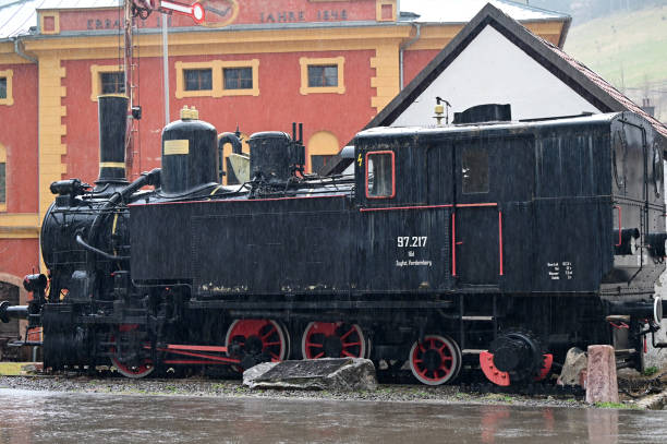 Alaska Train in Talkeetna