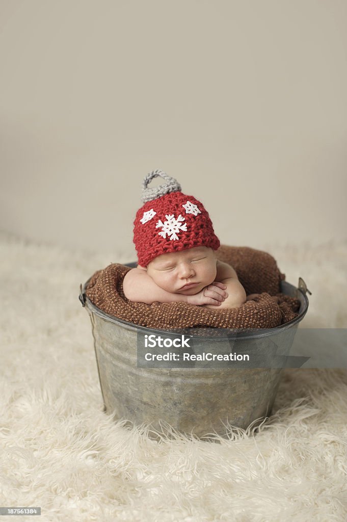 Neugeborenes posieren In Bucket - Lizenzfrei Antiquität Stock-Foto