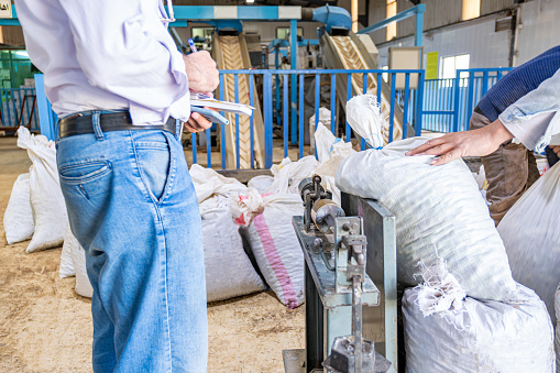 Employee and employer weighing sacks of olives using old style scale and write down the numbers with conveyor in background