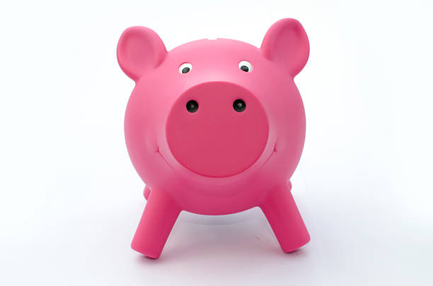 istock Piggy bank  portrait 187562738