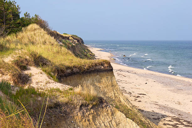 istock Beach at the Baltic Sea 187563730