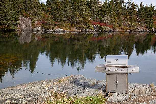 istock picnic gas barbeque oven outdoors by sunny scenic bay 187565014