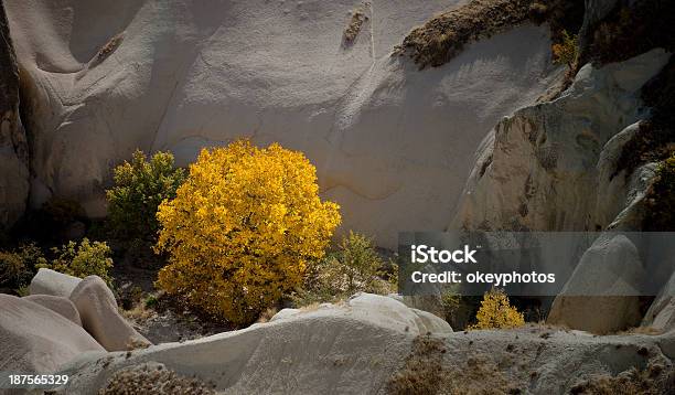 Cappadocia Turchia - Fotografie stock e altre immagini di Albero - Albero, Ambientazione esterna, Amore