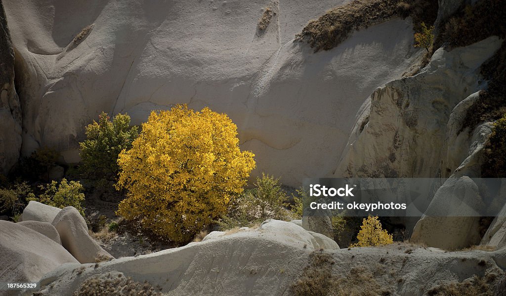 Cappadocia na Turquia - Foto de stock de Amarelo royalty-free