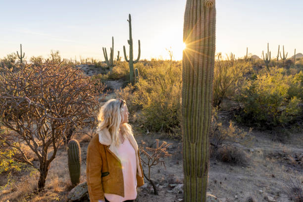 зрелая женщина наслаждается восходом солнца в пустыне - side view southwest usa horizontal sun стоковые фото и изображения