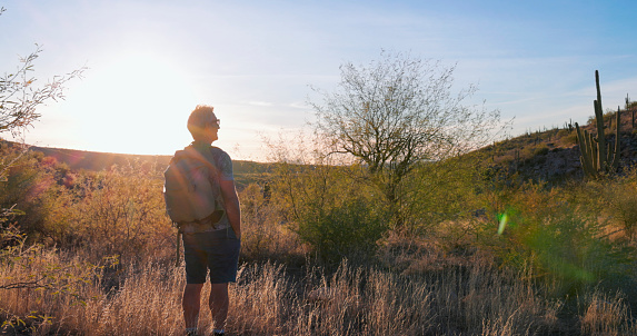 Mature man watches sunrise in desert landscape and cactus forest