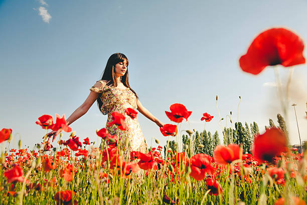 Beautiful woman in poppy field stock photo