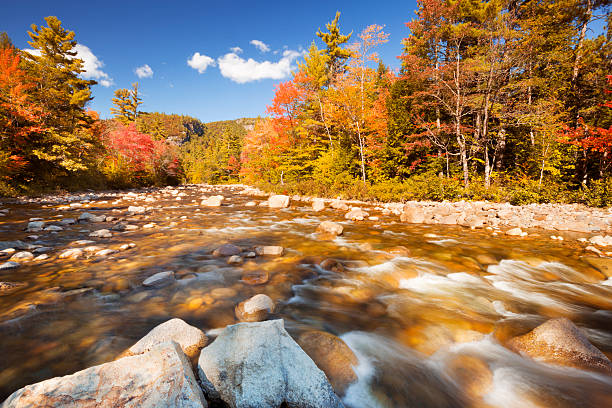 istock River through fall foliage, Swift River, New Hampshire, USA 187567742