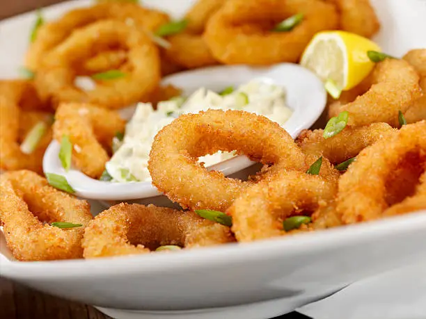 Calamari Rings with with Tzatziki Sauce and Green Onion -Photographed on Hasselblad H3D2-39mb Camera