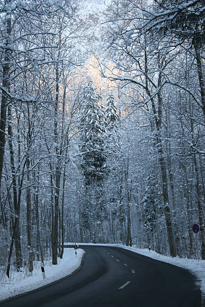 istock Fairytail Road winding in the winter snow 187569367