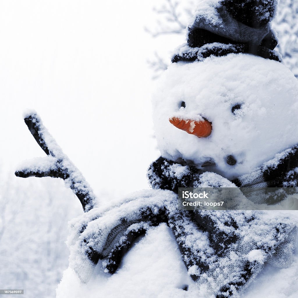 Boneco de neve - Foto de stock de Boneco de Neve royalty-free