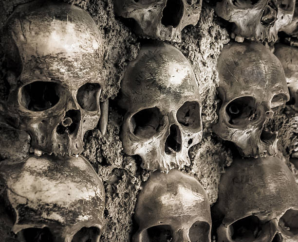 istock Wall full of skulls and bones 187570922