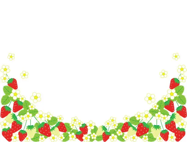 Vector illustration of strawberry decoration card