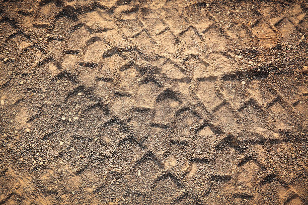 istock Car tracks in the sand 187571510