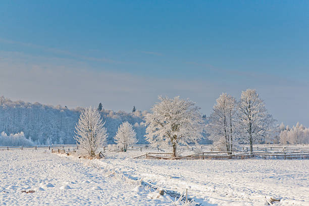 istock Winter landscape with trees snow wrapped 187573829