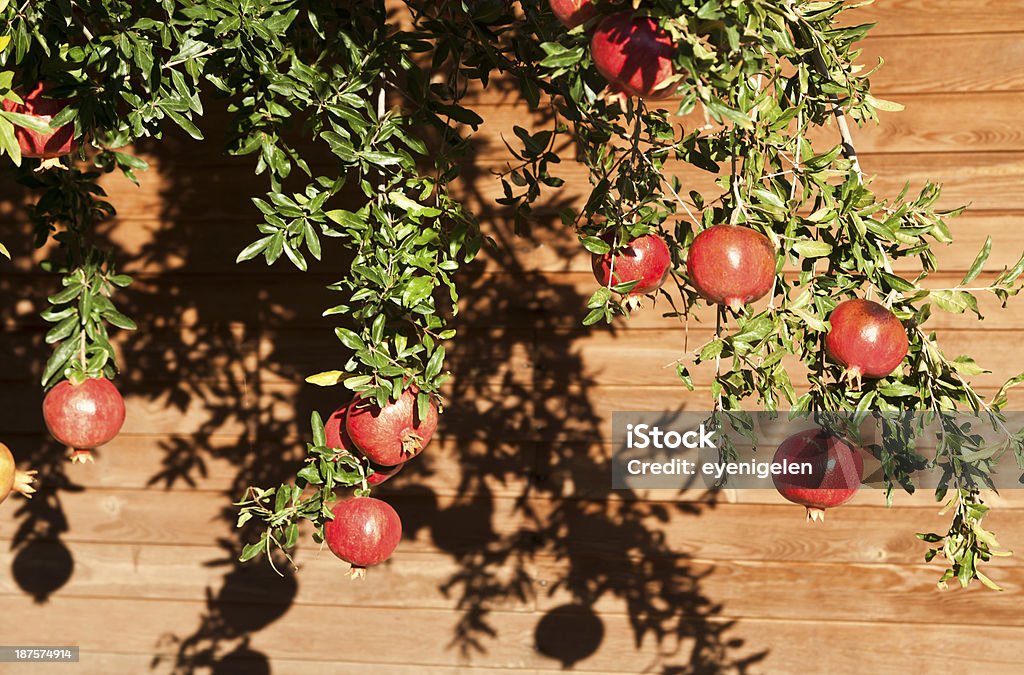 Romã - Foto de stock de Agricultura royalty-free