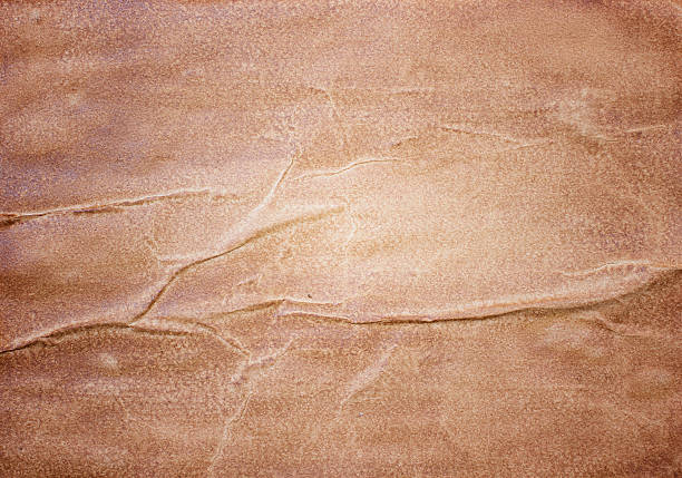 istock Crumpled sheet of old paper, 187575039