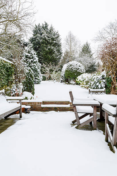 istock British garden in winter 187575538