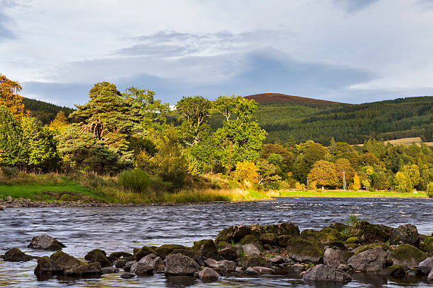 Craigellachie, The River Spey This is the River Spey near Cragellachie, Moray, Scotland, United Kingdom on a fine September afternoon. fly fishing scotland stock pictures, royalty-free photos & images