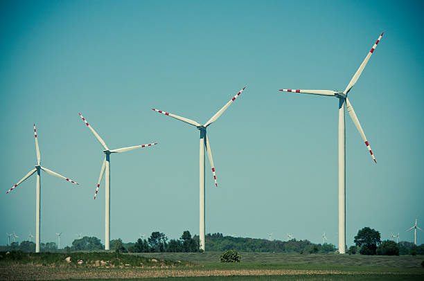 istock Wind turbine farm on rural terrain 187576844