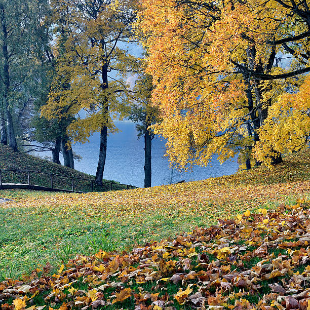 istock Beautiful autumn park 187576913